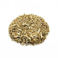 Fennel, Plant (Foeniculum vulgare)