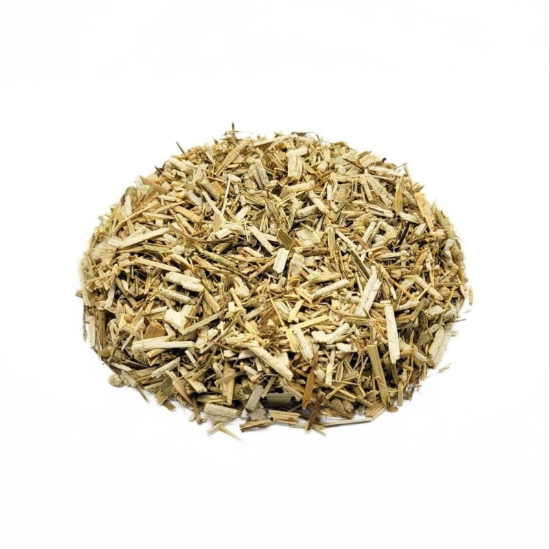 Fennel, Plant (Foeniculum vulgare)