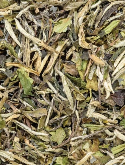 Pai Mu Tan White Tea (Loose Leaf)